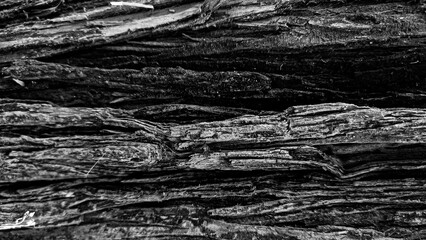 Wooden black and white texture
