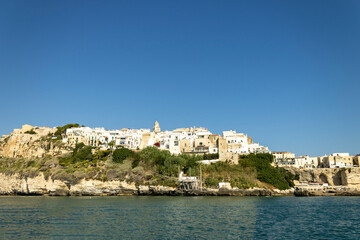 view of the city of peschici
