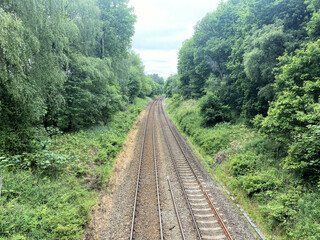 railway in the woods