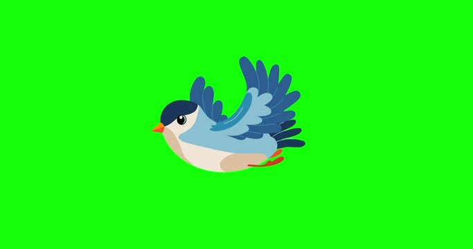 Blue sparrow type cartoon animation bird flying green screen. Seamless loop isolated character behaviour.