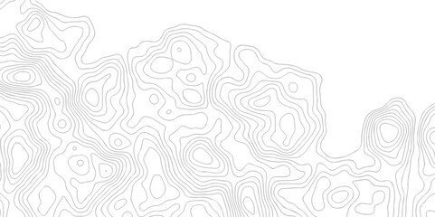 White wave paper curved reliefs abstract background black and white, Background of the topographic line map. Topographic map patterns abstract white topography vector background.