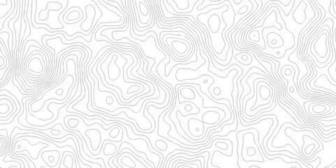 White wave paper curved reliefs abstract background black and white, Background of the topographic line map. Topographic map patterns abstract white topography vector background.