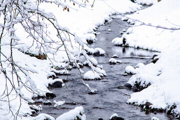 Winter. Snowy Forest. Winter Forest Stream. Winter Forest Scene With Snow and Stream. Cold Clear Water Stream. Winter Landscape with Snowdrifts and Forest Trees