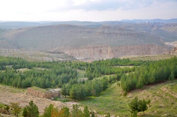 landscape with trees