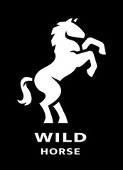Wild horse logo on a dark background.