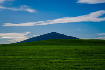 Obraz premium field and sky