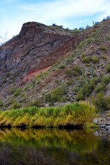 Salt River Recreation Area Arizona