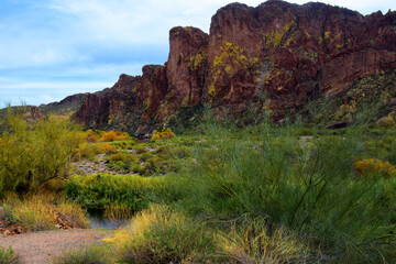 Salt River Recreation Area Arizona