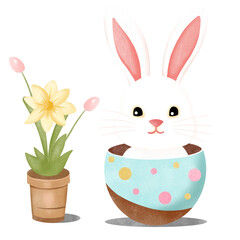 easter bunny and easter eggs