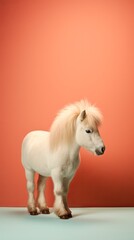 A small white pony with a fluffy mane stands against a vibrant orange background, creating a striking contrast