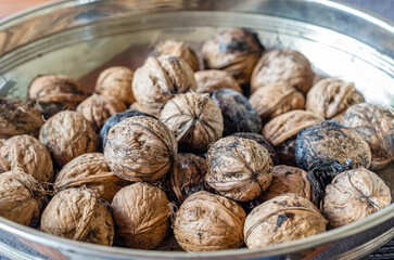 Freshly picked walnuts
