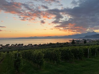 afterglow, sky, cloud, sun, landscape, dusk, red, silhouette, beautiful, horizon, cloudscape, freedom, nice, wine, view, lake garda, italy, europe