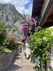 garden, flower, architecture, summer, landscape, home, plant, nature, house, italy, europe, limone sul garda, beautiful, blooming, romance, landscape