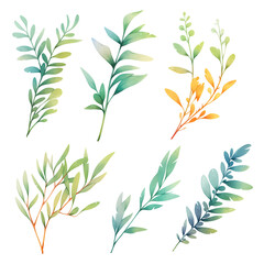 set of beautiful some isolated watercolour foliage and twigs