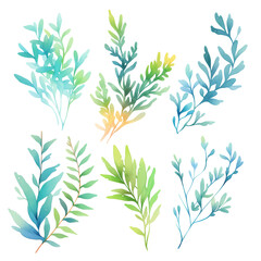 set of some isolated watercolour foliage and twigs