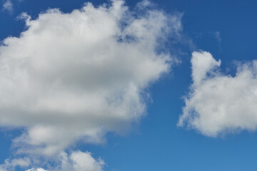 White fluffy clouds in the sky. Blue sky and cloud cover on a sunny summer day. Empty background, copy space