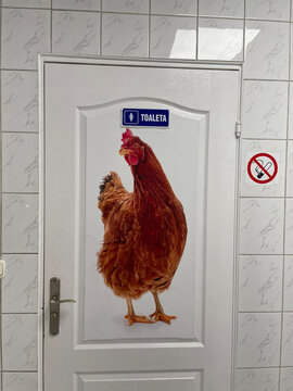 R&oacute;żnorodne oznaczenia toalet na świecie