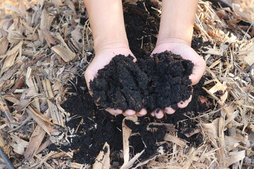 Making compost from food scraps and dead leaves, Compost on hands