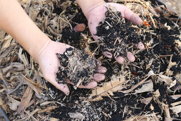 Making compost from food scraps and dead leaves, Compost on hands