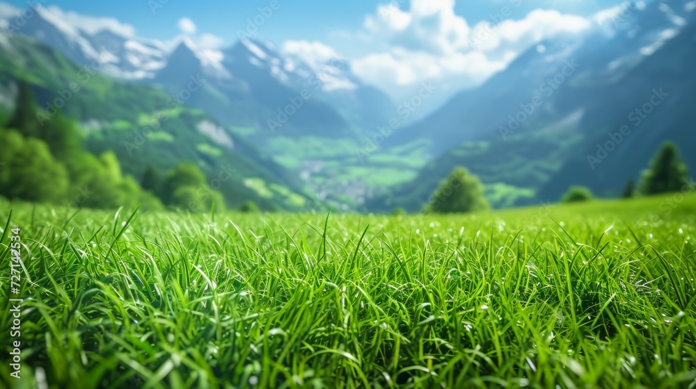 Poster breathtaking swiss mountain vista with close-up macro views of lush green meadows and detailed shots
