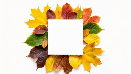 a frame made of autumn leaves autumn leaves square frame isolated on white background element for creating collage or design postcards wedding cards and invitations