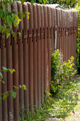 Naklejka premium rusty fence in garden