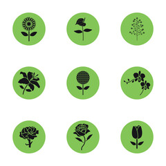 Collection of green flower icons, black silhouettes. 9 pieces. Vector