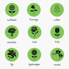 Collection of green flower icons, black silhouettes. 9 pieces. Vector isolated on the background