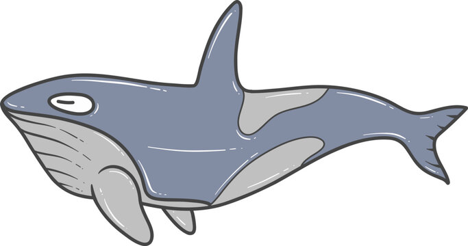 simple whale fish cartoon