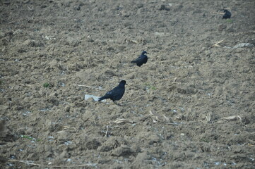 Garbage storage station