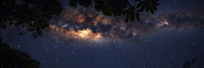 Low view of the stars in the sky at night