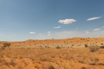 The view of red dunes under blue sky with clouds from from Kgalagadi Transfrontier Park in South Africa.