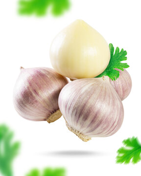 A pile of solo garlic or single clove garlic with coriander leaves isolated on white background