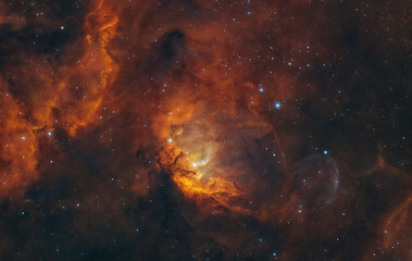 Astrophoto made with telescope of the Tulip Nebula or Sharpless 101