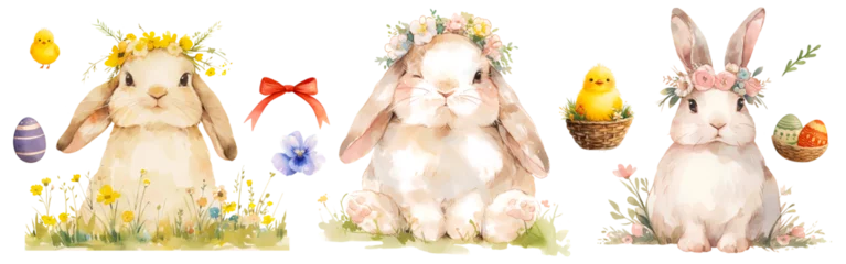 Foto op Aluminium Easter bunny wearing a flowers crown, Colorful watercolor cute rabbit toy isolated on white background. Celebration Illustration set and Spring decorations. Cut out PNG on transparent background. © Ivrin