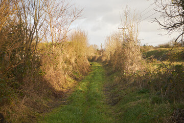 ścieżka ,Castlebar ,Irlandia 