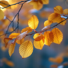 Fototapeta premium Fluttering Edge of Rustling Leaves in Twilight