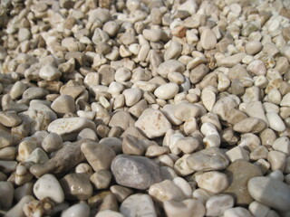 Macro view of gravel beach on the sun. Pebbles on the seaside. Close up of a stone on a sunny summer day.

