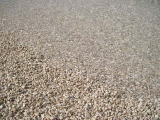 Macro view of gravel beach on the sun. Pebbles on the seaside. Close up of a stone on a sunny summer day.
