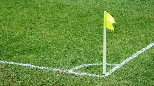 Empty football soccer field with white marks and a yellow corner flag.
