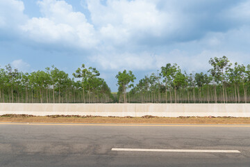 Horizontal view of an asphalt road in Thailand. With barriers are placed in a long line. Background...
