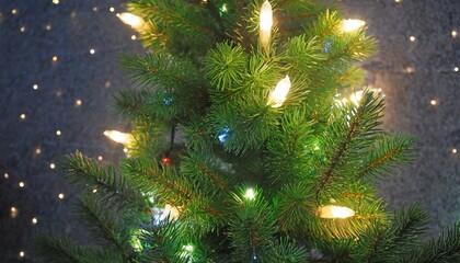 close up on christmas tree with light