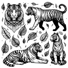 tiger animal line art set