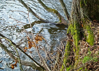 Autumn abstraction.Autumn background.Trees against the background of river water.