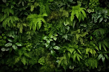 Washable wall murals Garden Lush and diverse flora and fauna. thriving vertical gardens enchant nature lovers