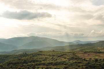 View of mountaine with olive tree plantations on sky background. Crete.