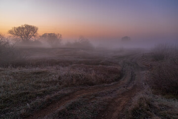 mist over the field