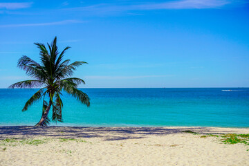 Fototapeta na wymiar Beach in southeast asia. Palm trees and blue sea, heavenly place