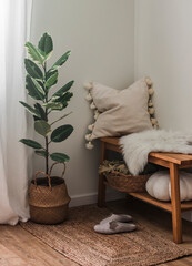 A cozy corner of the living room - a wooden bench with a pillow and a blanket, baskets, a ficus...