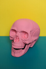 Pink skull on a yellow and blue background. Minimal Halloween concept.